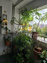 Blk 171 Yishun Avenue 7 (Yishun), HDB 4 Rooms #525164821
